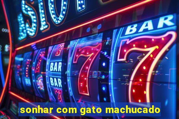 sonhar com gato machucado